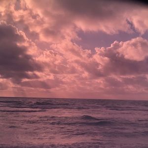 Meet your Posher, Adrienne